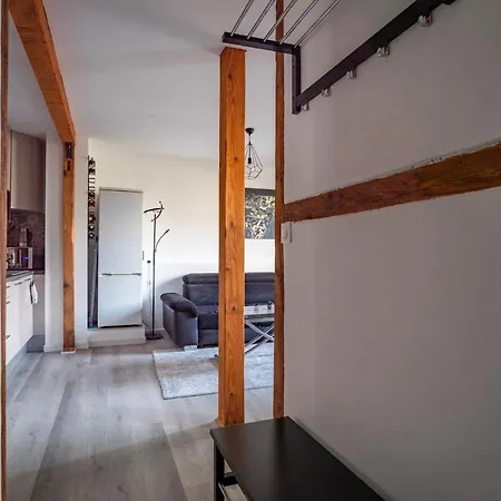 Apartment Proche Hyper-centre, Marche De Noel - Tram 5 Min Strasbourg