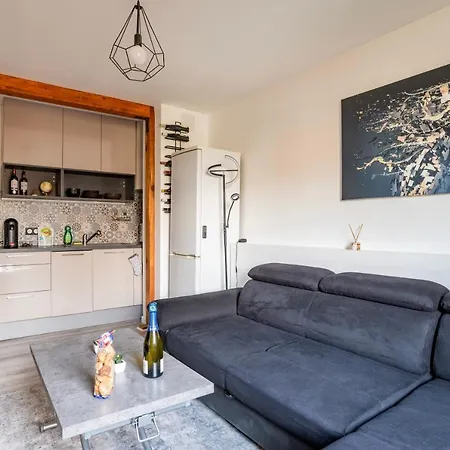 Proche Hyper-centre, Marche De Noel - Tram 5 Min Apartment Strasbourg