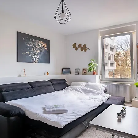 Apartment Proche Hyper-centre, Marche De Noel - Tram 5 Min Strasbourg