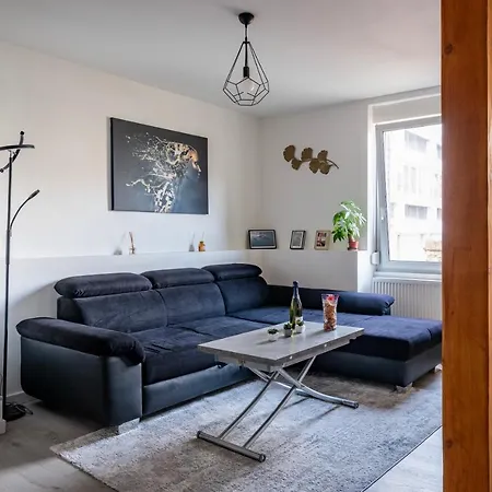 Apartment Proche Hyper-centre, Marche De Noel - Tram 5 Min Strasbourg
