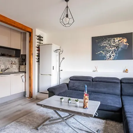 Apartment Proche Hyper-centre, Marche De Noel - Tram 5 Min Strasbourg